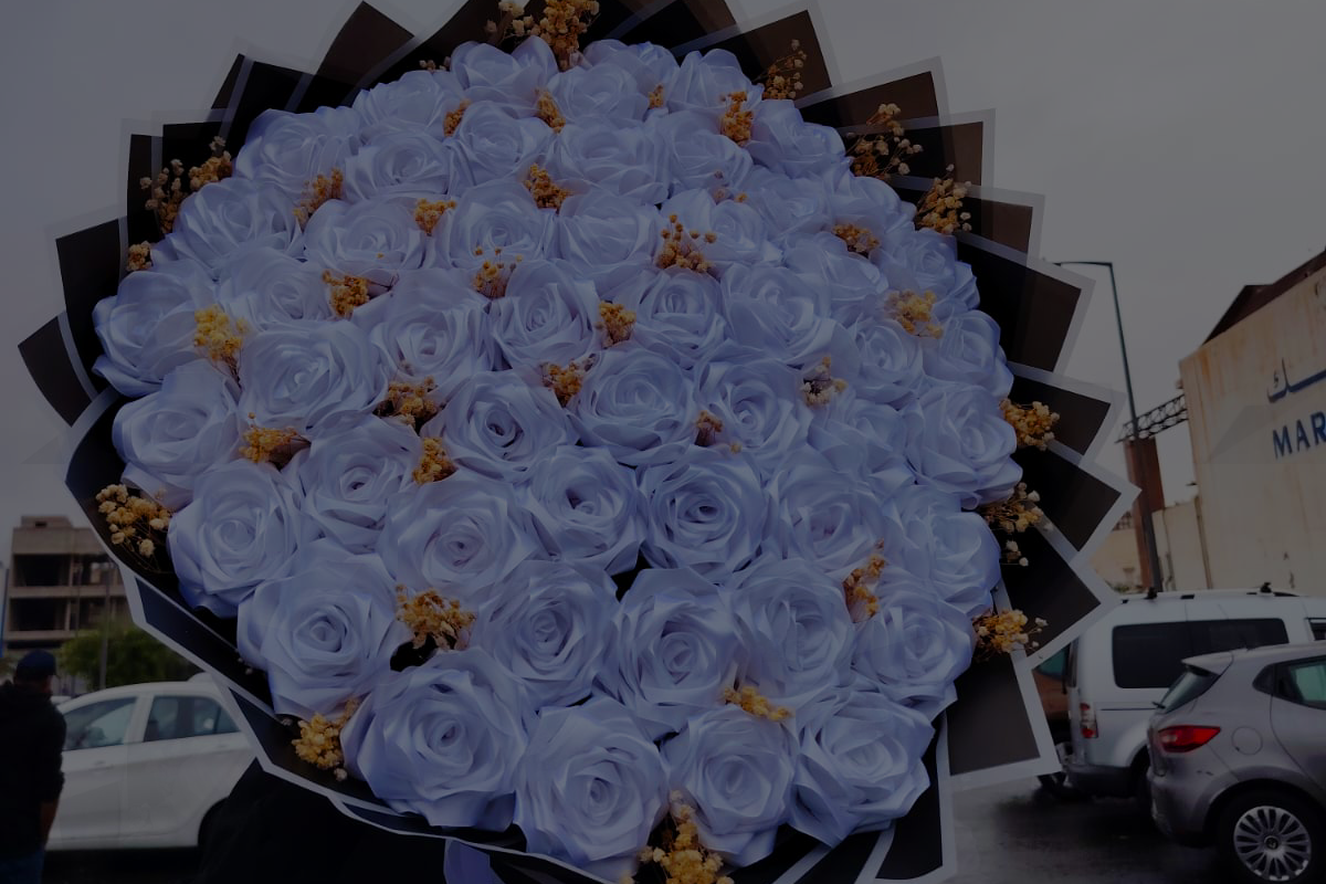 Image Slider